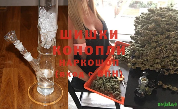 тгк Абаза