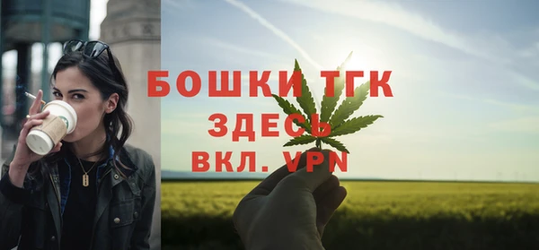 тгк Абаза