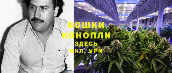 ПСИЛОЦИБИНОВЫЕ ГРИБЫ Арсеньев