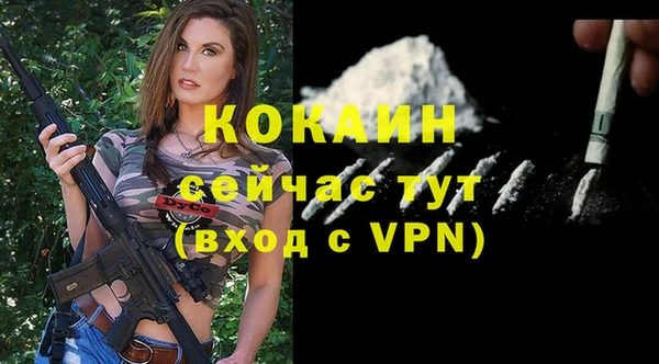тгк Абаза