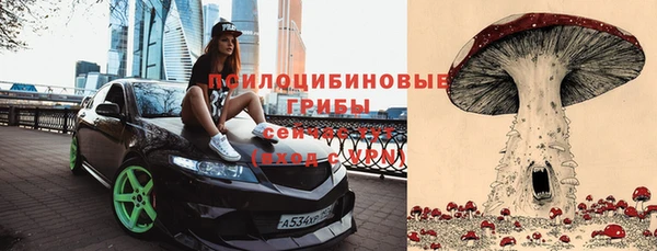 тгк Абинск