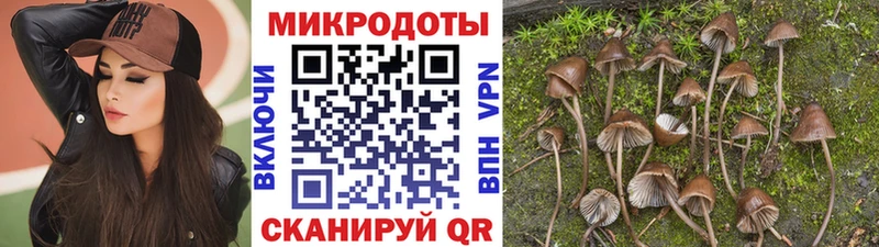 Галлюциногенные грибы MAGIC MUSHROOMS наркошоп Старая Купавна